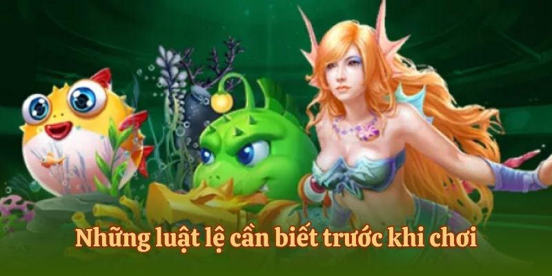 Những luật lệ cần biết trước khi chơi